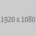 Lexus ES 350 F Sport 2024